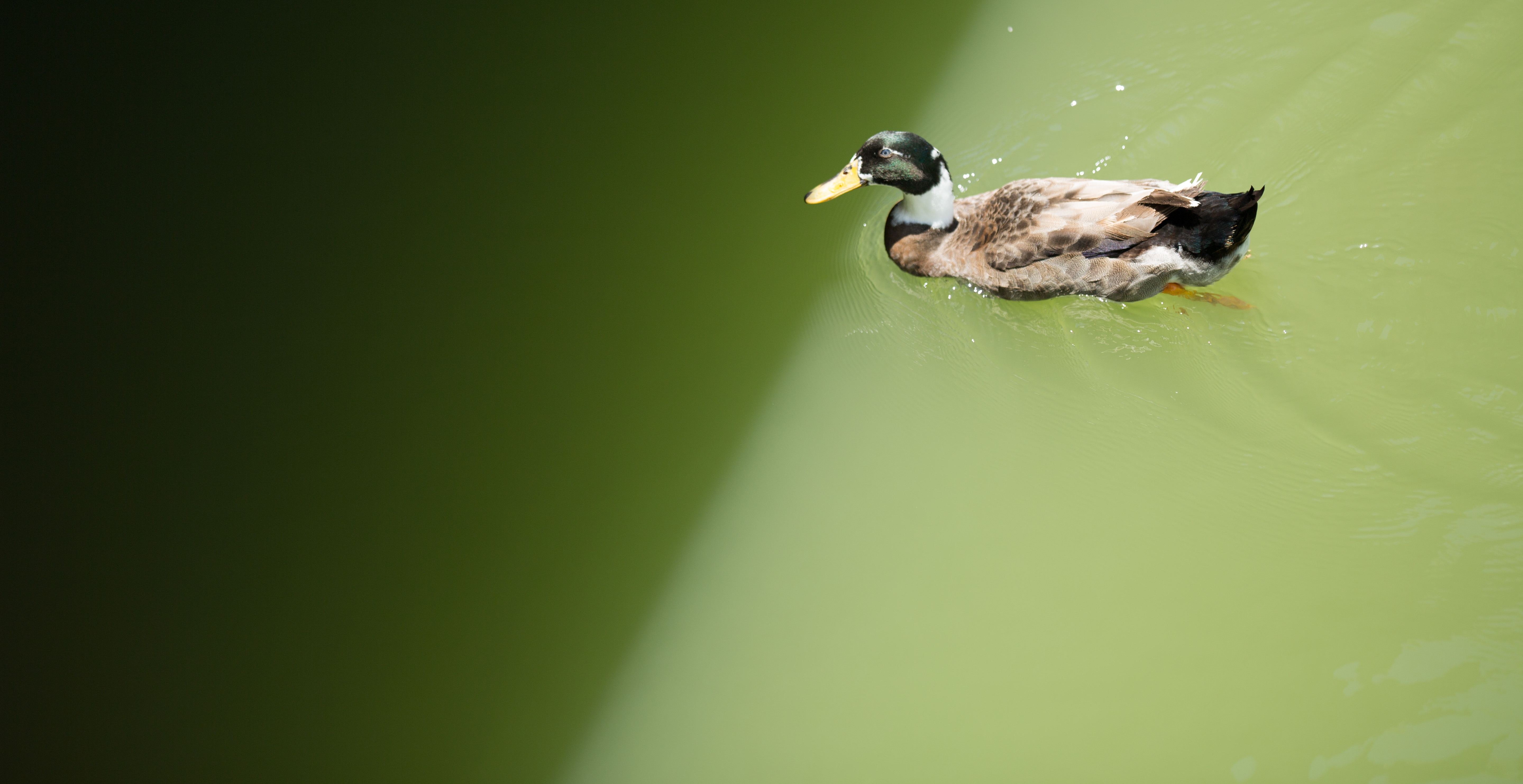 10集、11集剧照(图24)
