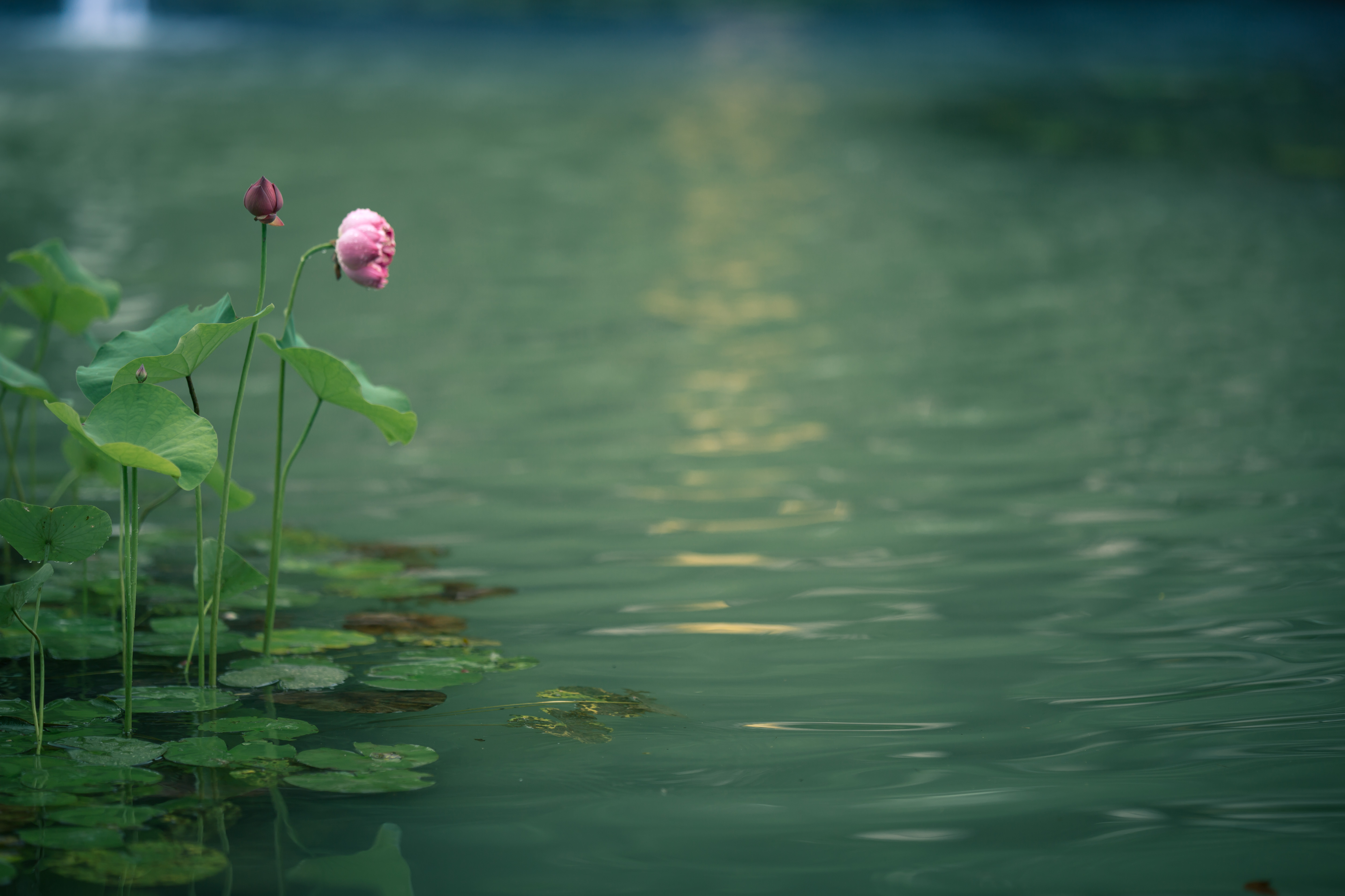 10集、11集剧照(图78)