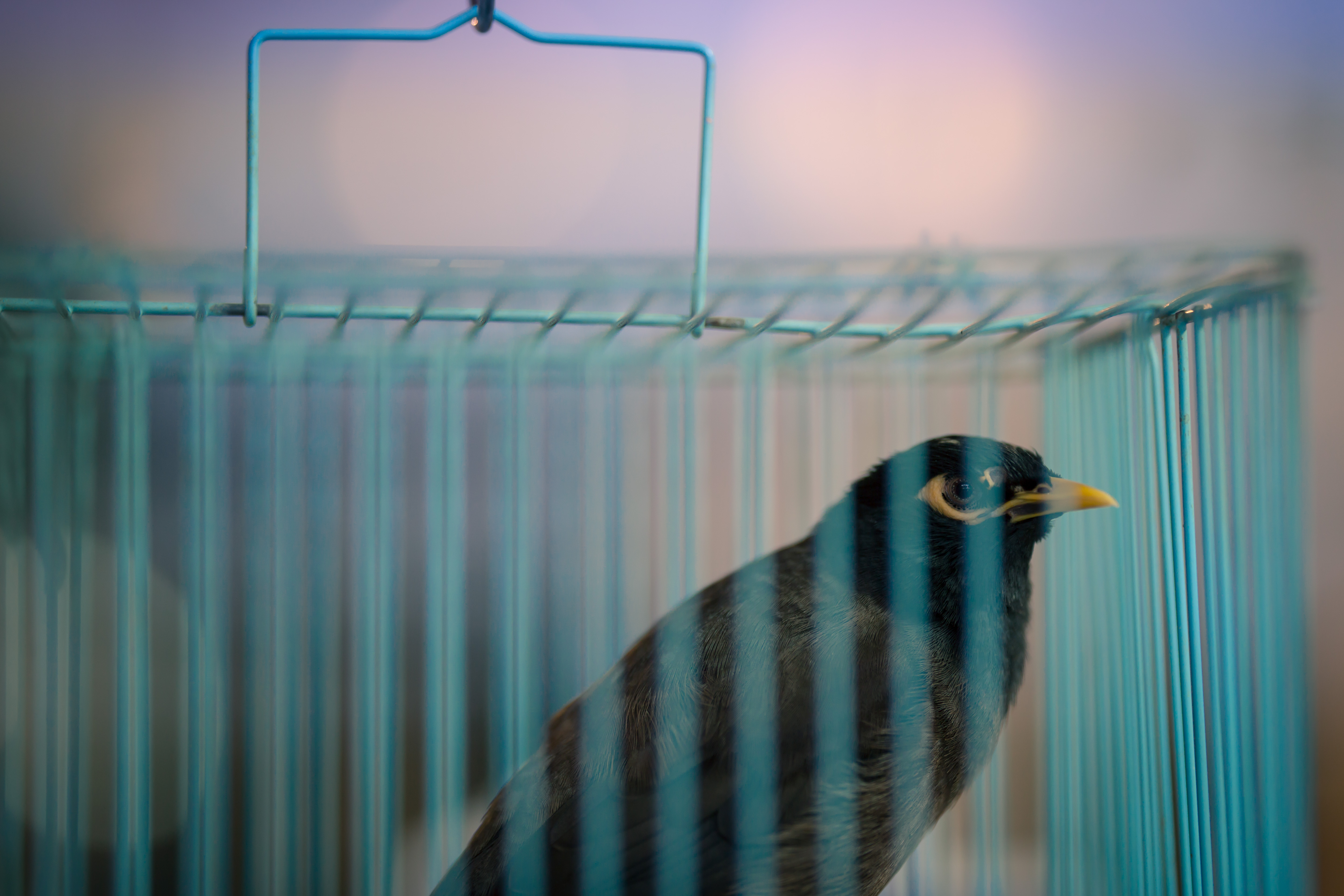 10集、11集剧照(图82)